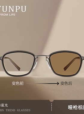 茶色墨镜男2025新款纯钛偏光高级