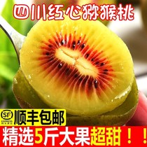 Authentic Sichuan Red Heart Exotic Fruit Fresh Pregnant Woman Fruit to Season Great Fruit Macaque Peach 10 Whole Boxes