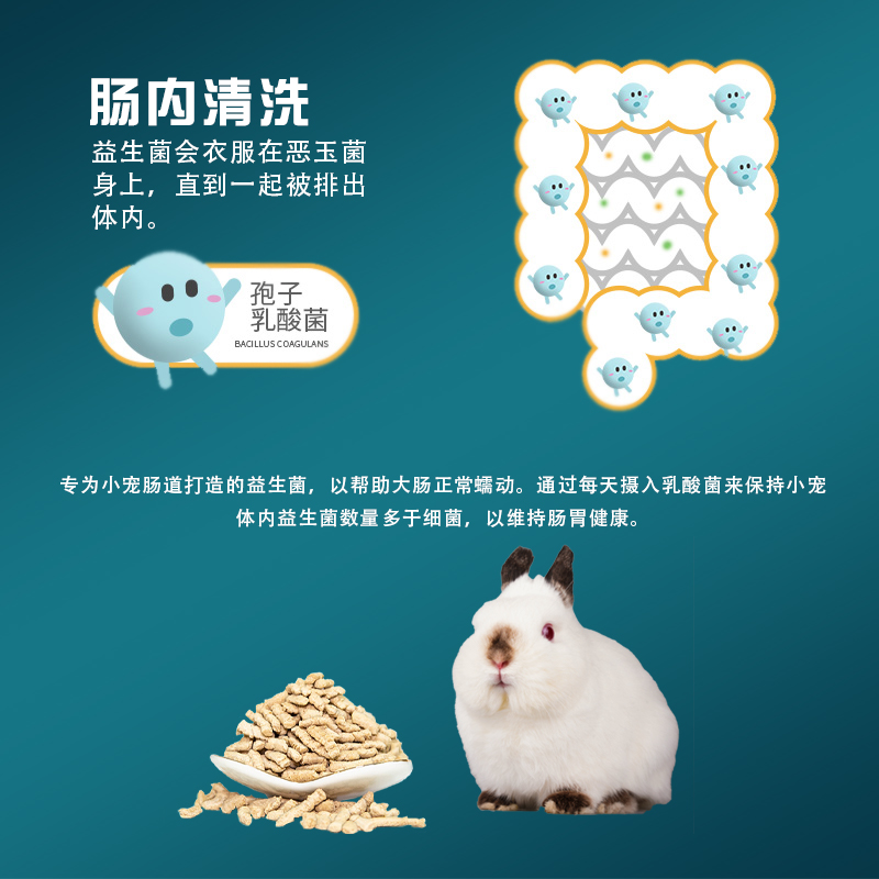 Wooly硬乳酸菌兔子龙猫仓鼠豚鼠肠道保健帮助肠胃蠕动进口10g分装 - 图2