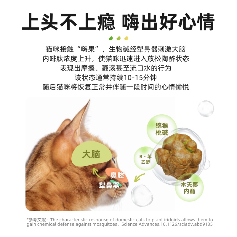 魔核猫玩具自嗨解闷虫瘿果猫咪磨牙棒木天蓼猫薄荷球小猫逗猫棒