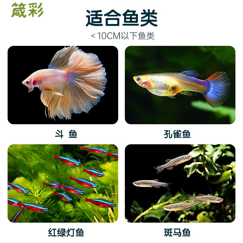 孔雀鱼饲料斗鱼鳑鲏鱼小型热带鱼粮凤尾鱼斑马鱼小颗粒金鱼小鱼食 - 图2