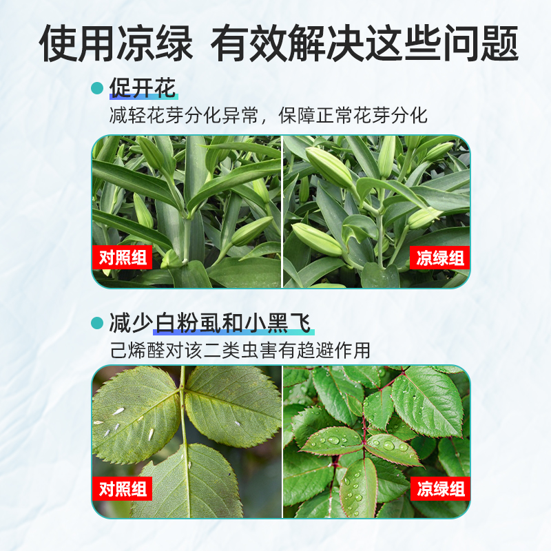 进口凉绿植物度夏宝耐高温花卉抗病降温剂月季植物空调驱虫 - 图3