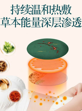 艾宝电加热艾草包产后艾灸包热敷护腰暧肚子疼理疗垫高绿天鹅绒-
