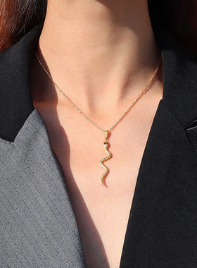 英国chrry koop欧美ins弯曲蛇形吊坠项链女chocker颈链钛钢首饰