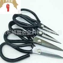 Industrial Home Cut Big Heads Scissors 1 Leather Civilian Scissors Fish Head Pointed Wire Cut