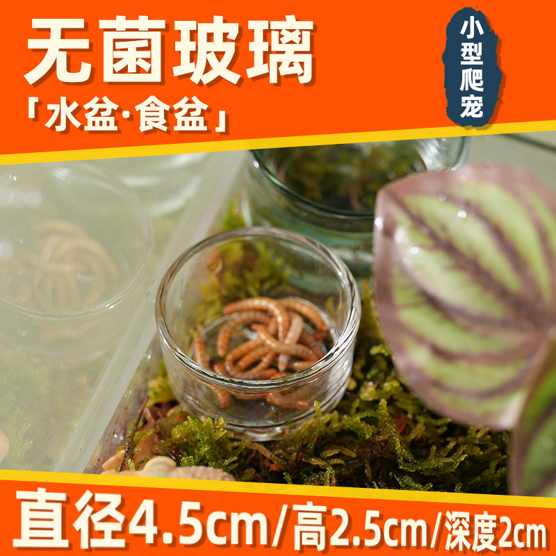 爬虫无菌玻璃水杯果泥食盆蛇守宫蛙睫角鬃狮蜥仓鼠蜘蛛加湿水盆,淘宝优惠券,粉丝福利购,淘宝优惠卷