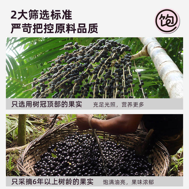 帕梅拉同款王饱饱巴西莓粉加粉条膳食纤维花青素果蔬汁代餐饮品,淘宝优惠券,粉丝福利购,淘宝优惠卷