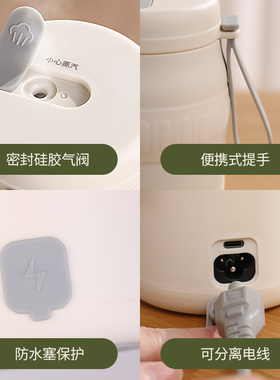 新升级双插口便携可调温炖煮杯