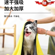 Pet Pooch Bath Water Absorbent Towel Speed Dry Extra-large Thickened Blow Hair Themeber Cat Bibi Bear Gold Hair Special Bath Towels
