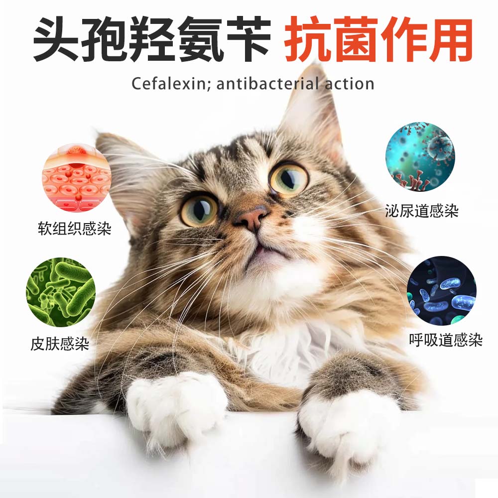 头孢羟氨苄片宠物狗狗猫咪用消炎药咳嗽脓皮症猫癣中耳炎伤口