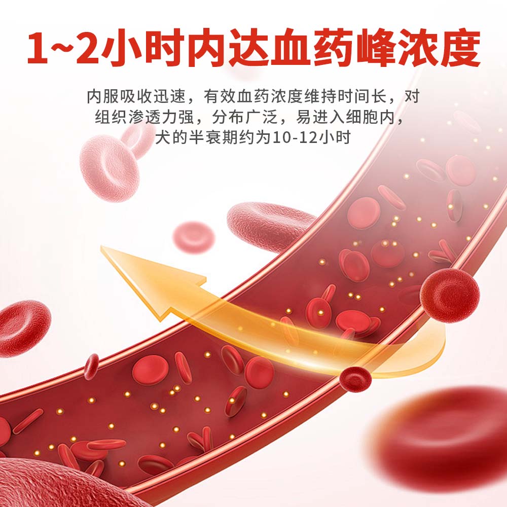 头孢羟氨苄片宠物狗狗猫咪用消炎药咳嗽脓皮症猫癣中耳炎伤口