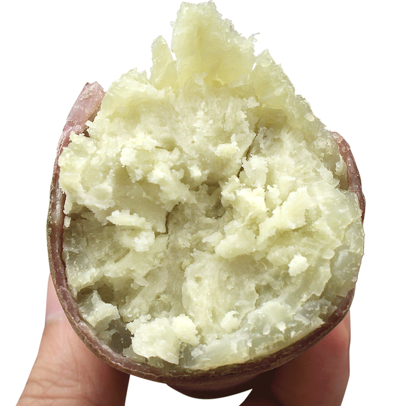 高州爆皮王番薯白心面包王红薯新鲜粉糯香甜现挖农家板栗干面地瓜