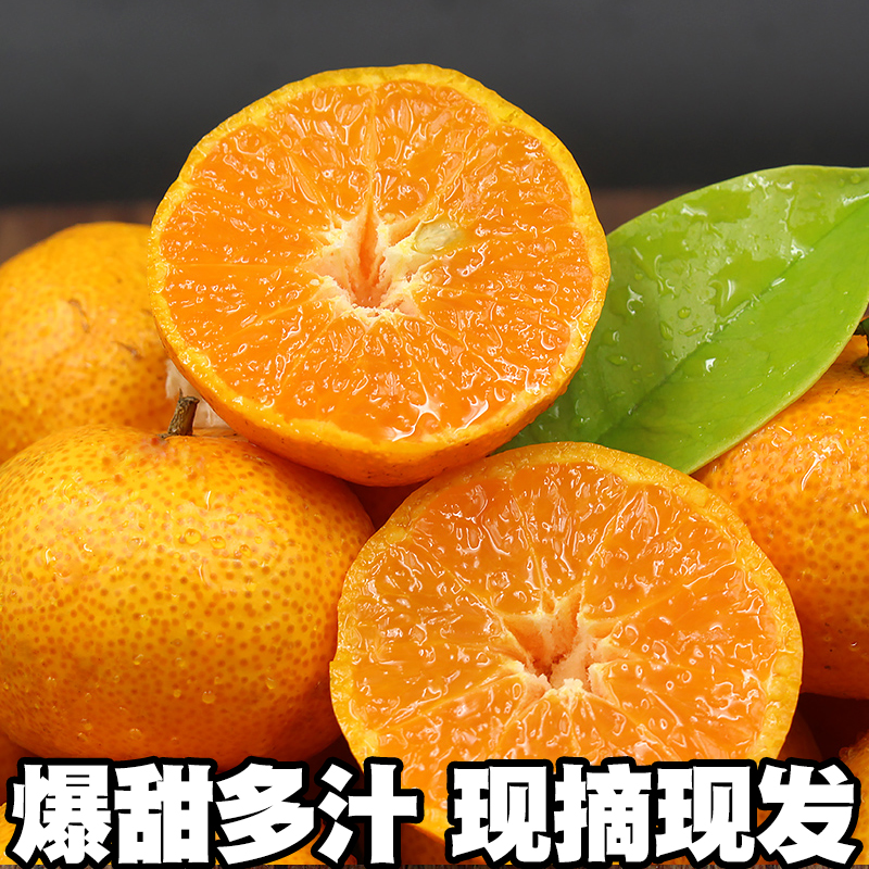 正宗广西砂糖橘5-9斤装新鲜水果当季超甜橘子精品无籽小沙糖桔子