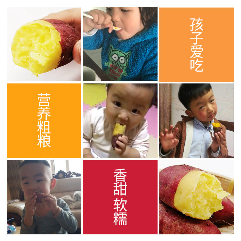 茂名王番薯10斤装黄黄心5鸡蛋 果乡趣番薯