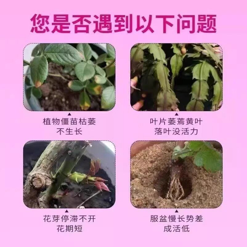 焕生复壮素营养液花卉绿植通用改善僵苗枯萎黄叶园艺养花肥营养钵,淘宝优惠券,粉丝福利购,淘宝优惠卷