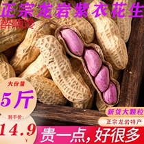 Authentic Fujian Longyan specie 4 grain red and wet grilled purple clothes peanuts with shell sundried garlic perfume and boiled peanuts rice snacks