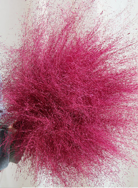 粉黛乱子草粉色干花花束