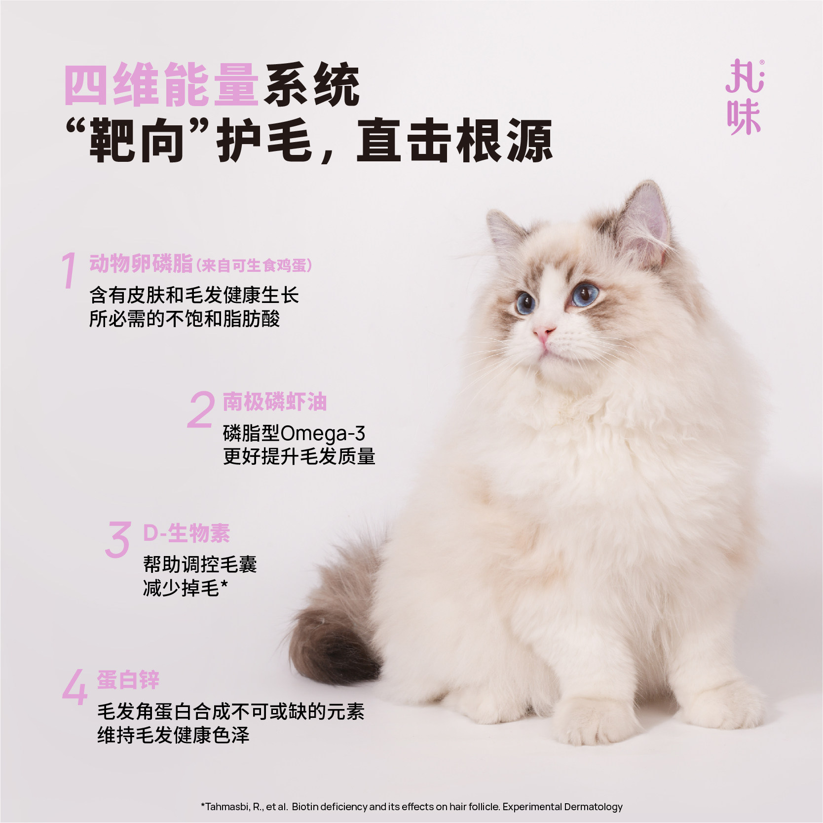 图 5