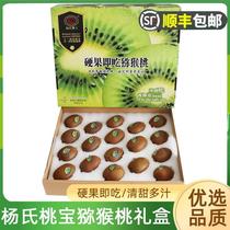 Yangs Peach Treasure Ready-to-eat Green Hearts Kiwi Hard Fruit Ready-to-eat Fresh Fruits Shaanxi Province Eyebrow County Big Fruit Chic Exotic Fruit Gift Box Dress