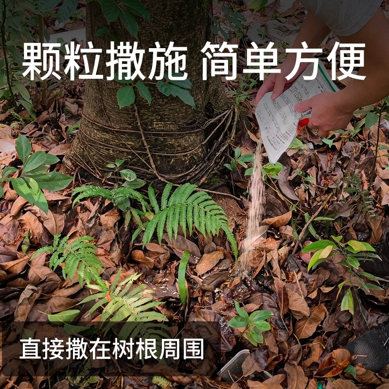 环嗪泰铜哃酮除草烂根剂一扫光除树剂除杂树除竹子烂根药专用药粉 - 图2