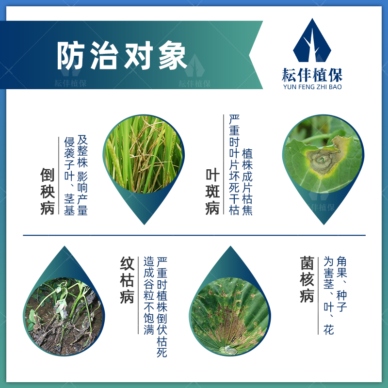 多菌菌灵杀菌剂花卉蔬菜果树叶斑病兰花黑斑病专用药国光多菌灵粉 - 图0