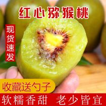Authentic Sichuan Pujiang Red Hearts Kiwi Red Yang Chi Exotic Fruits Fresh When Season Pregnant Women Fruit Whole Boxes Big Fruits