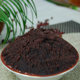 Baked bean paste Sakura filling