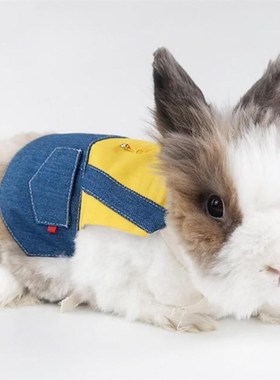 Bunny Vest Harness Outdoor Leash Set Outdoor Rabbit Clothing