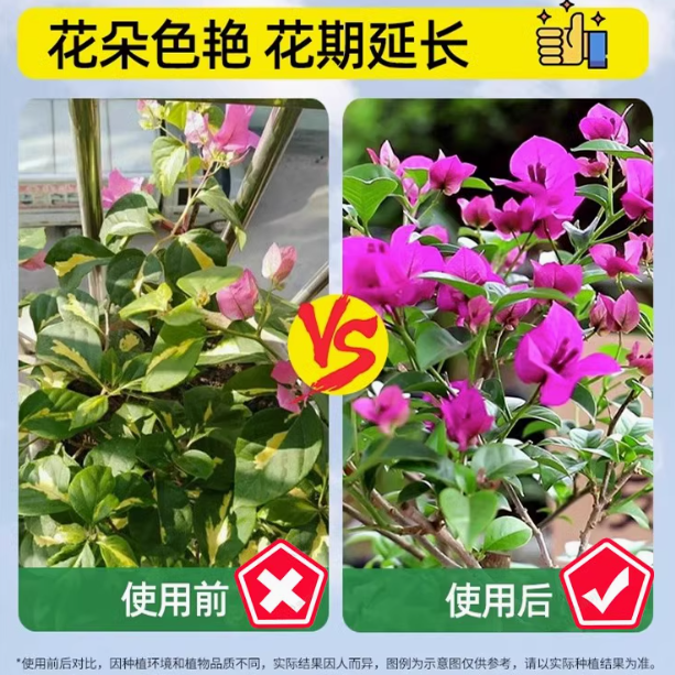 超浓缩植物营养液花肥通用化肥料家用绿植盆栽绿萝叶黄万能富贵竹,淘宝优惠券,粉丝福利购,淘宝优惠卷