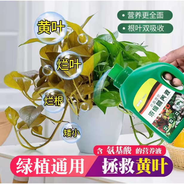 超浓缩植物营养液花肥通用化肥料家用绿植盆栽绿萝叶黄万能富贵竹,淘宝优惠券,粉丝福利购,淘宝优惠卷