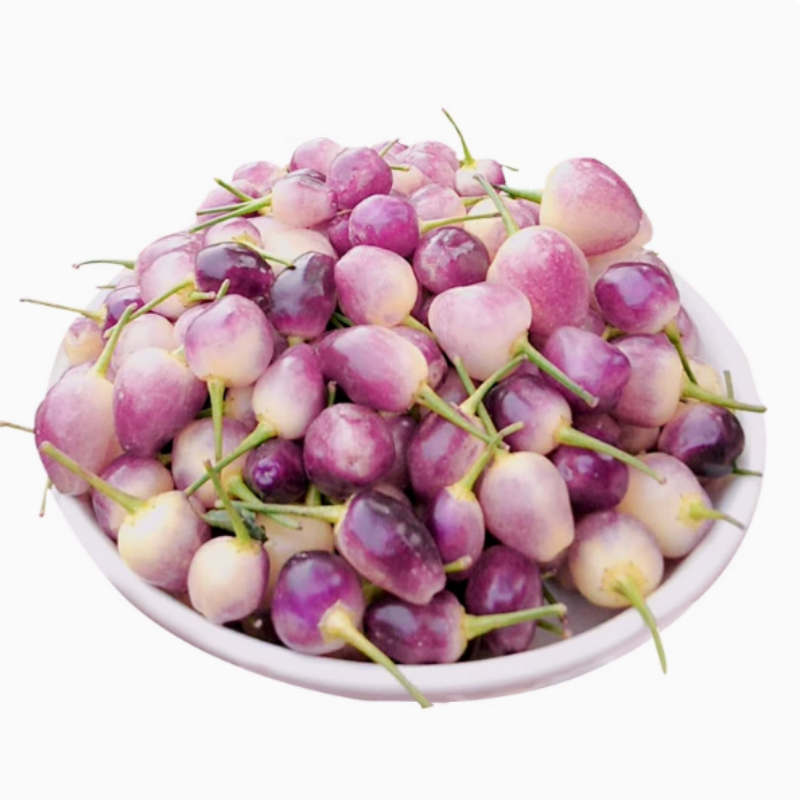 七彩辣椒苗多彩椒种籽孑苗观赏椒种苗青红椒四季盆栽阳台菜苗子秧,淘宝优惠券,粉丝福利购,淘宝优惠卷