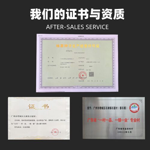 增城四季胭脂红高压树苗正宗大叶红全红嫁接苗广州鸡屎果当年挂果 - 图3