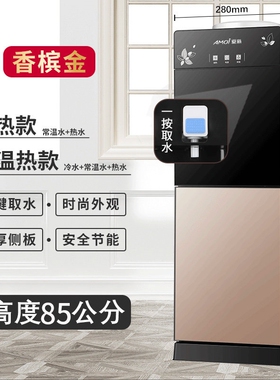 夏新双推杯立式家用饮冰水机冷热