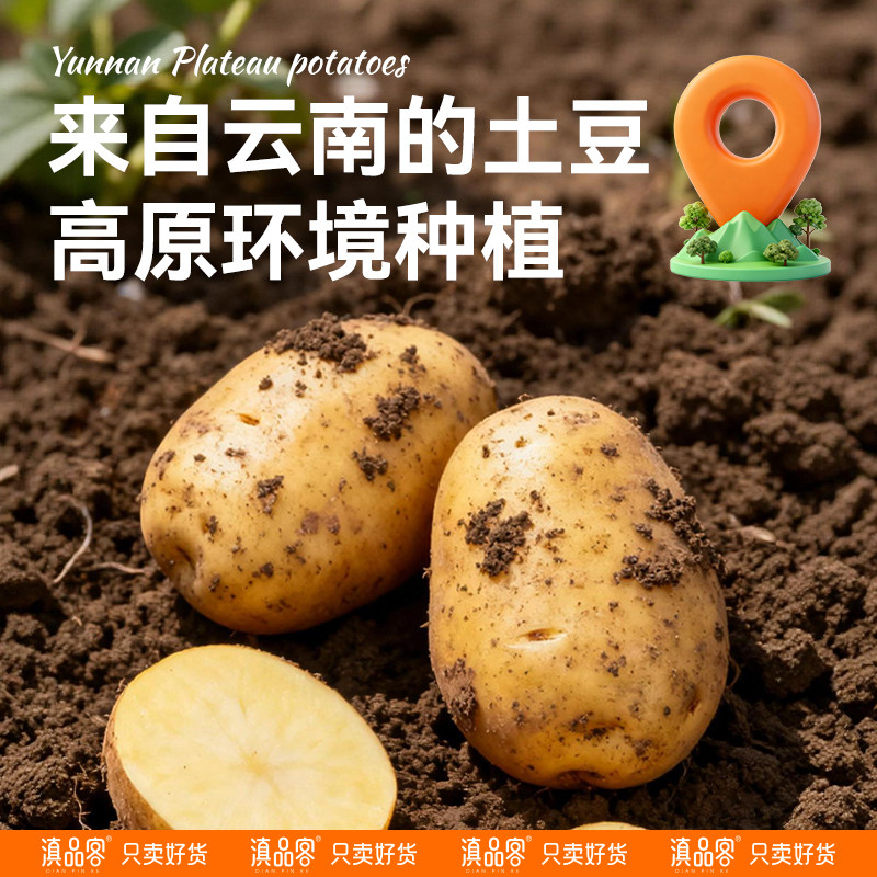 滇品客麻辣土豆片农科院云南特产贵州洋芋片丝薯片小吃网红小零食