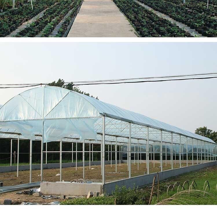 进口大棚膜种植无滴膜加厚透明保温PO膜全新抗老化养殖膜塑料布 - 图1