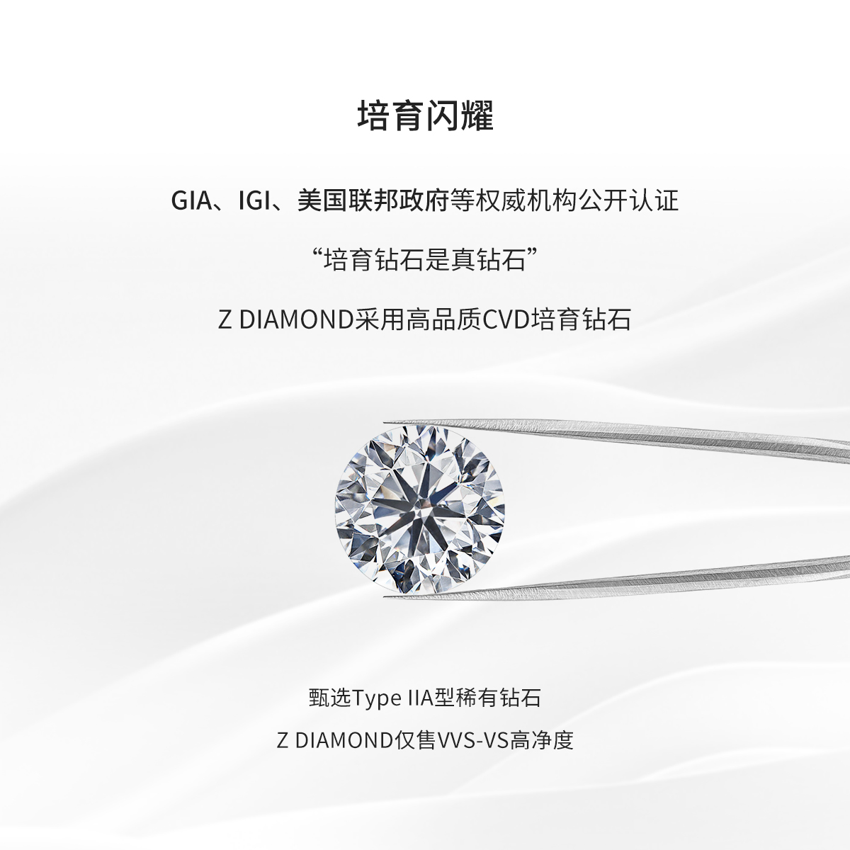 【培育】Z DIAMOND定制 圆形裸钻18K金首饰钻戒指CVD培育钻石IGI - 图0