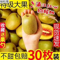 1st Grade Big Fruits Sichuan Pujiang Red Heart Chic Exotic Fruit Fresh Chic Fruits Great Fruit Big Fruit Whole Bags