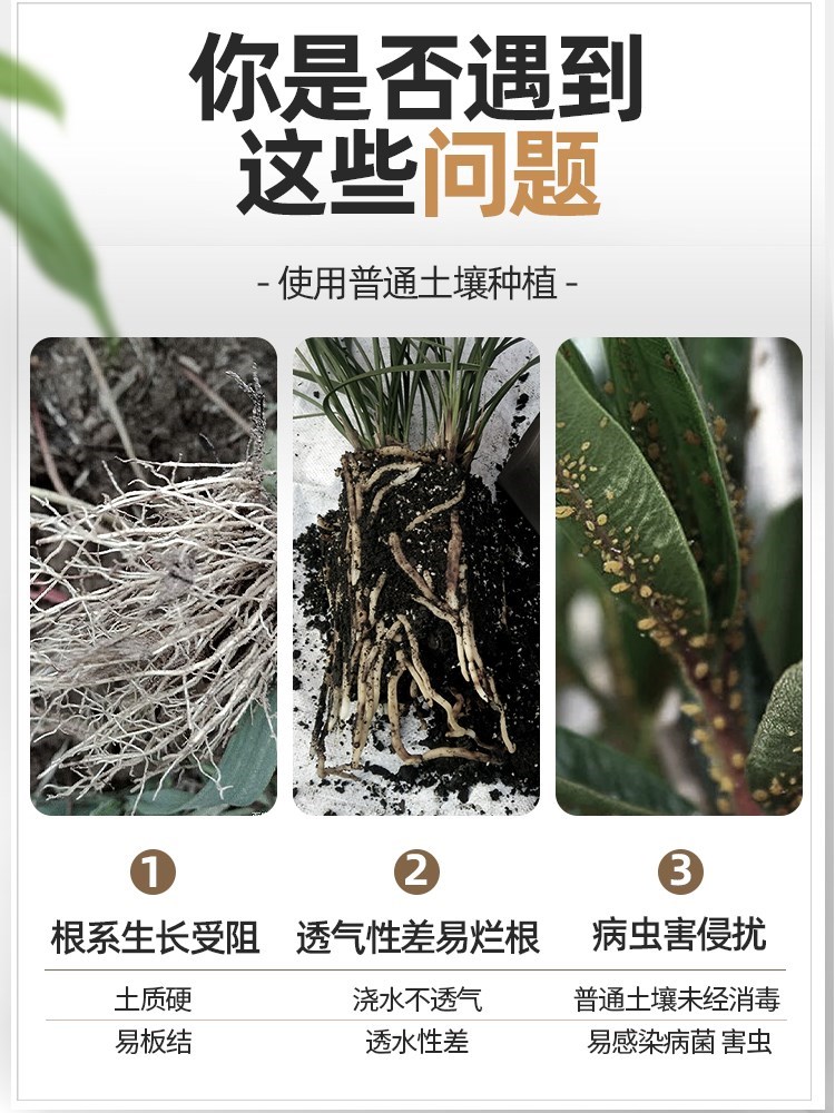 椰砖营养土通用型专用椰糠土壤种植椰壳耶砖大块养花种菜椰土-图2