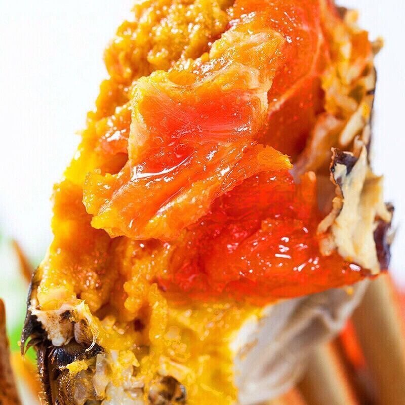 【10只装】鲜活大闸蟹特大活螃蟹公6.0两 母5.0两礼盒装顺丰包邮,淘宝优惠券,粉丝福利购,淘宝优惠卷