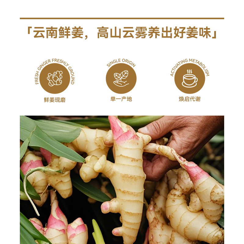 Uncle Tom小黄姜粉纯生姜粉正宗云南罗平生姜干姜粉新姜古法姜茶 - 图0