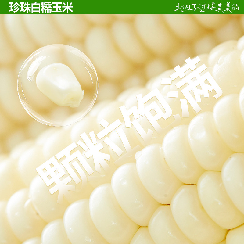 灶小美玉米新鲜黑糯玉米棒内蒙古非即食粘黏代餐粗粮早餐真空包装