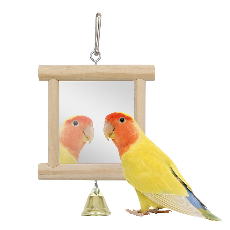 鸟镜子 站台鹦鹉玩具用品套装阳台鹦鹉磨脚棒鹦鹉鸟玩具 鸟用,淘宝优惠券,粉丝福利购,淘宝优惠卷