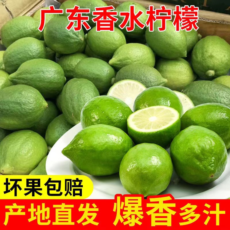 广东香水柠檬一级果50斤青皮新鲜无籽香水柠檬奶茶店专用顺丰包邮-图2