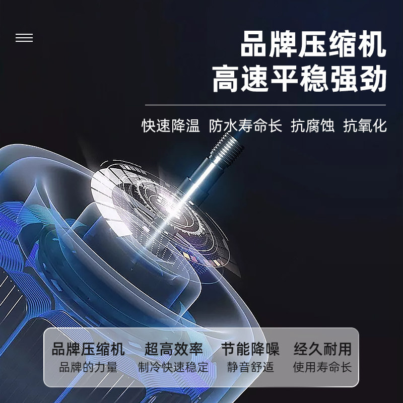 荣事达商用大容量保鲜冷冻大冰箱 荣事达日普冷柜