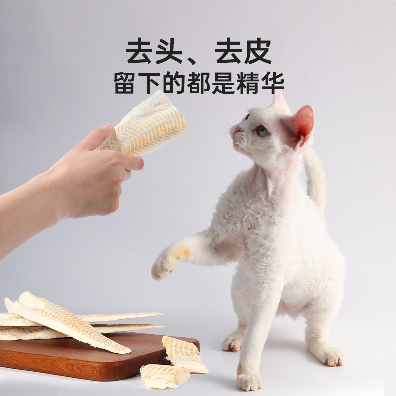 喵咪颜究社鳕鱼冻干整块大片猫零食猫狗磨牙营养无添加宠物肉干,淘宝优惠券,粉丝福利购,淘宝优惠卷