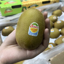 6 golden fruits in New Zealand#超大果进口奇异果黄肉奇异果维C水果 27#超大果进口奇异果黄肉奇异果维C水果 s gold.