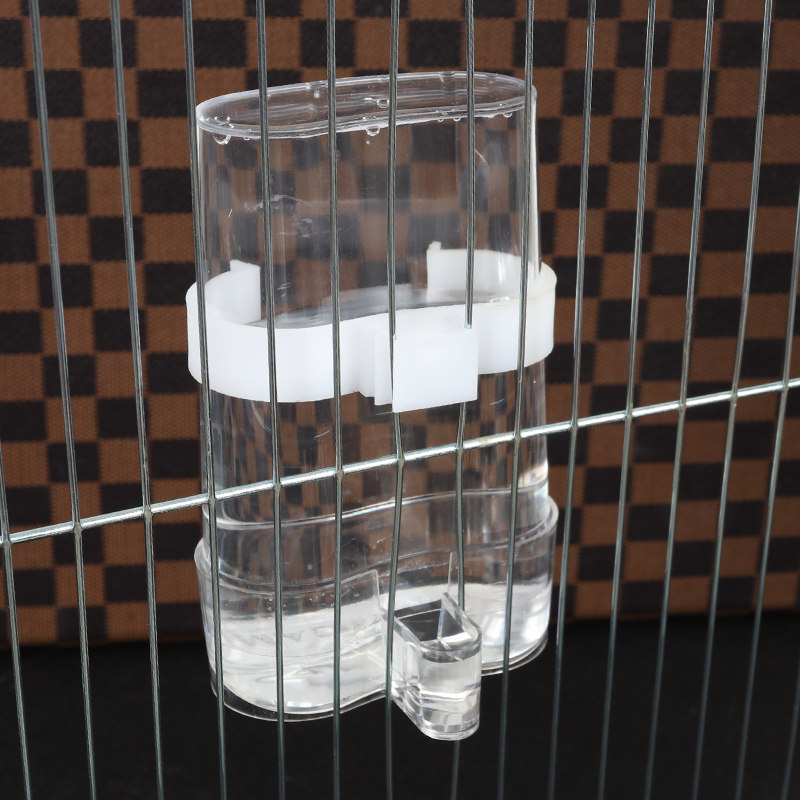 喝水的喂水器全自动鹦鹉小鸡雏鸡信鸽鸟笼喂食养殖配件鸽子饮水器