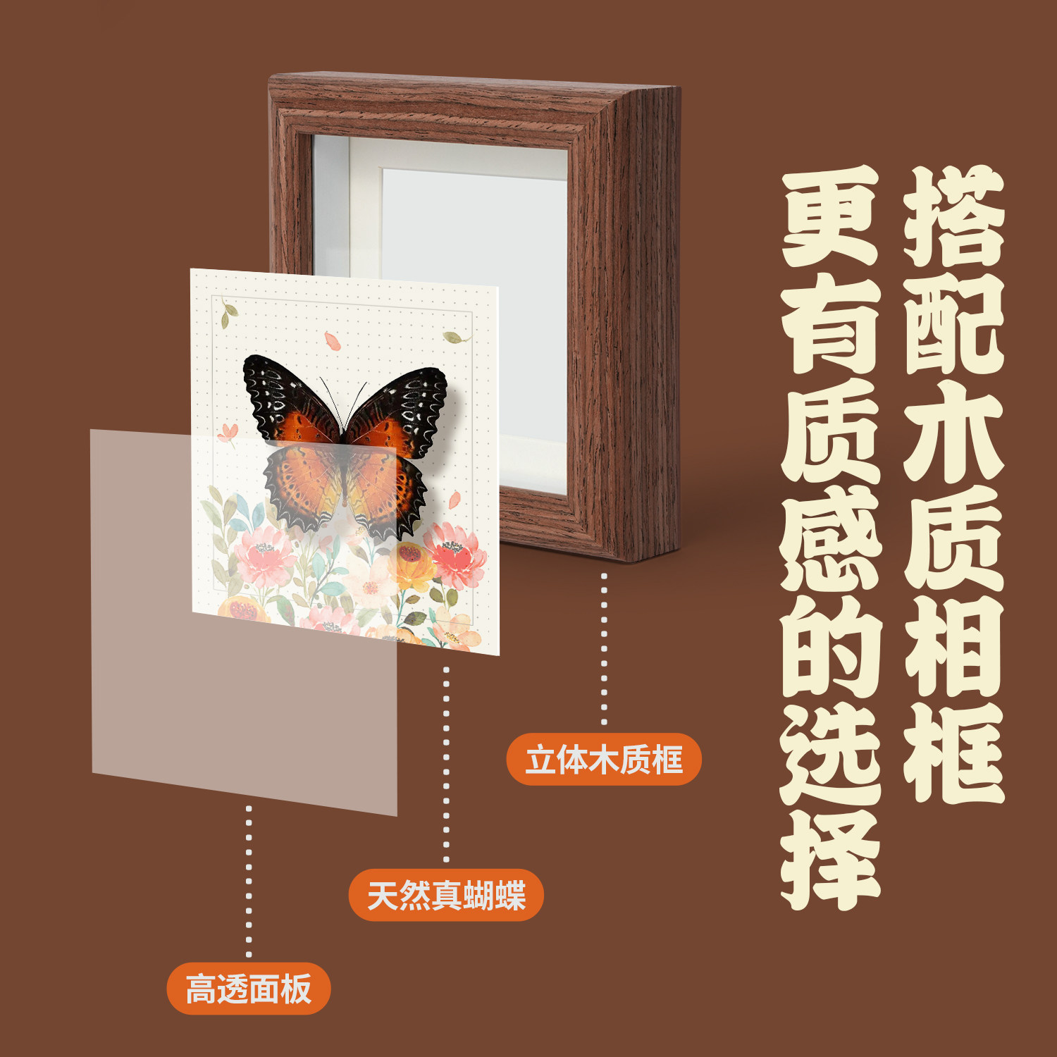 科答鸭儿童蝴蝶标本制作摆件真实教学创意装饰多种植物diy标本相框材料包幼儿手工礼物,淘宝优惠券,粉丝福利购,淘宝优惠卷