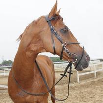 Equestrian Italy Imported Water Le Reins The Whole Bull Leather 8 Word Obstacle Horses Equipped With Eight Feet Of Dragon Horse Furniture