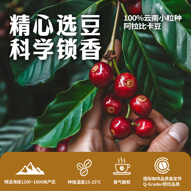 金猫咖啡15倍超浓缩咖啡液黑巧味0糖0脂速溶黑咖啡美式咖啡100颗